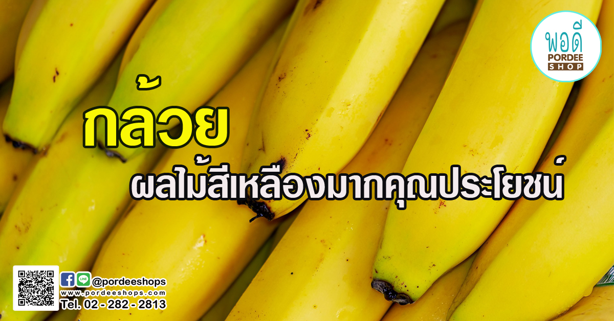 กล้วย ผลไม้สีเหลืองมากคุณประโยชน์