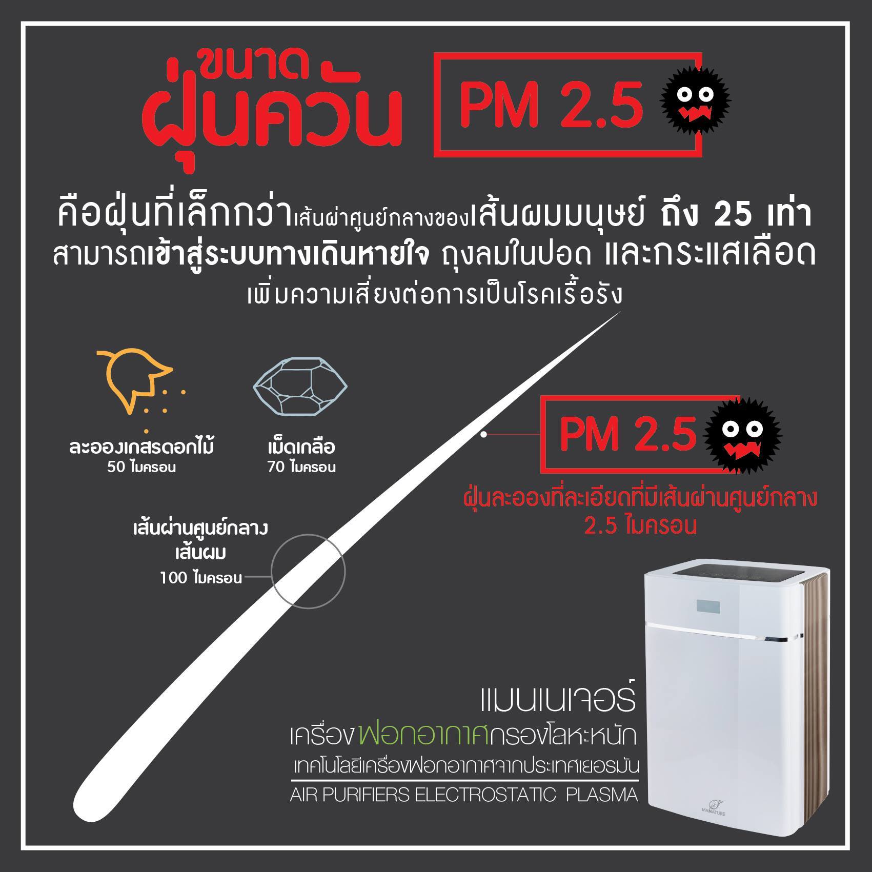 PM 2.5 ฝุ่นพิษ ภัยต่อสุขภาพ